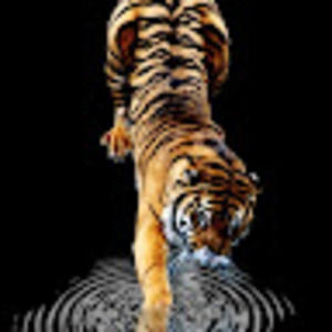 Meet your Posher, Mahogany